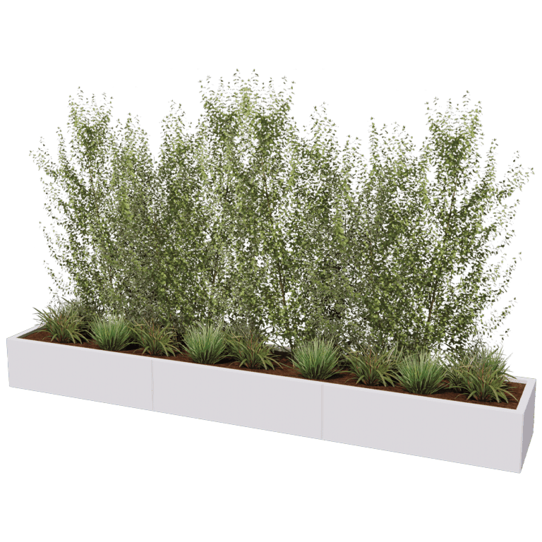 Bac à plantes en acier thermolaqué Texas xxl 300 x 50 cm
