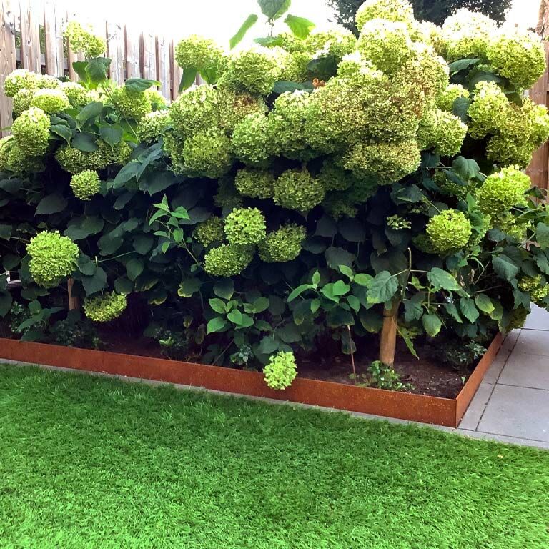 Bordure en acier corten à bord aplati 13 cm (longueur 150 cm)