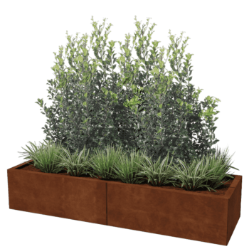 Bac à plantes en acier corten Texas xxl 160 x 50 cm