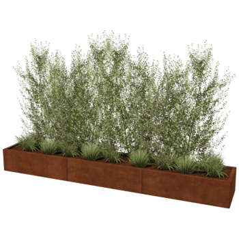 Bac à plantes en acier corten Texas xxl 300 x 50 cm