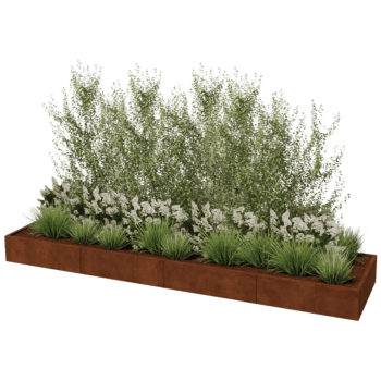 Bac à plantes en acier corten Texas xxl 400 x 100 cm