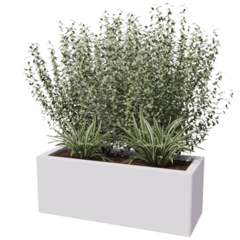 Bac à plantes en acier thermolaqué Texas 30 x 80 cm