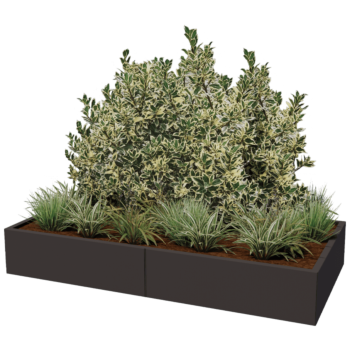 Jardinière XXL en acier - Rectangle - 200 x 100 x 80 cm - RAL9005 mat (noir) - Avec plaque de fond