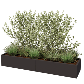 Jardinière XXL en acier - Rectangle - 200 x 50 x 30 cm - RAL9005 mat (noir) - Sanc plaque de fond