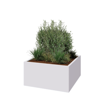 Jardinière en acier - Carré - 100 x 100 x 50 cm - RAL9010 mat (blanc) - Sanc plaque de fond