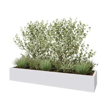 Jardinière XXL en acier - Rectangle - 200 x 50 x 30 cm - RAL9010 mat (blanc) - Avec plaque de fond
