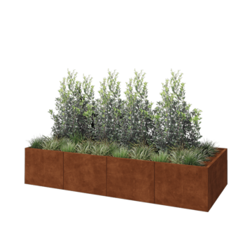 Jardinière XXL en acier Corten - Rectangle - 320 x 120 x 60 cm - Sanc plaque de fond