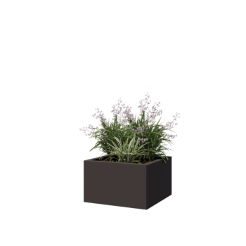 Jardinière en acier - Carré - 50 x 50 x 30 cm - RAL7016 mat (gris anthracite) - Sanc plaque de fond