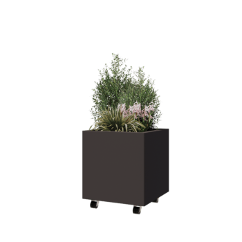 Jardinière en acier - Carré - 50 x 50 x 50 cm - RAL7016 mat (gris anthracite) - Avec plaque de fond - Avec roulettes