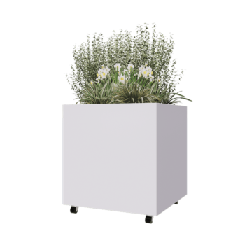 Jardinière en acier - Carré - 80 x 80 x 80 cm - RAL9010 mat (blanc) - Avec plaque de fond - Avec roulettes