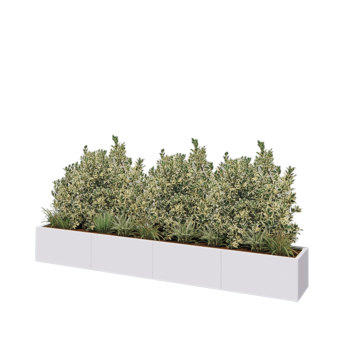 Jardinière XXL en acier - Rectangle - 320 x 40 x 40 cm - RAL9010 mat (blanc) - Sanc plaque de fond
