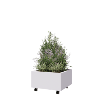 Jardinière en acier - Carré - 60 x 60 x 30 cm - RAL9010 mat (blanc) - Avec plaque de fond - Avec roulettes