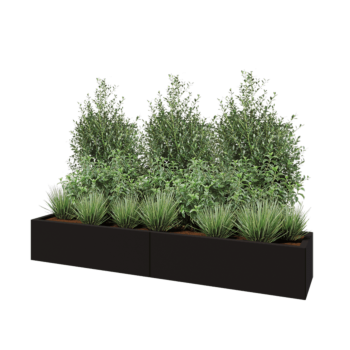 Jardinière XXL en acier - Rectangle - 200 x 40 x 30 cm - RAL9005 mat (noir) - Avec plaque de fond