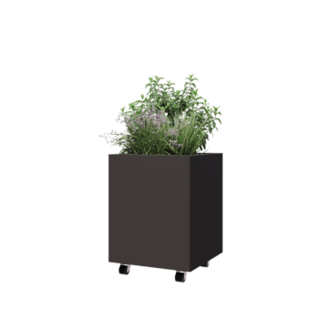 Jardinière en acier - Carré - 50 x 50 x 60 cm - RAL7016 mat (gris anthracite) - Avec plaque de fond - Avec roulettes