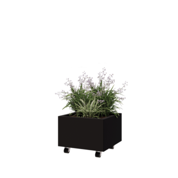Jardinière en acier - Carré - 50 x 50 x 30 cm - RAL9005 mat (noir) - Avec plaque de fond - Avec roulettes