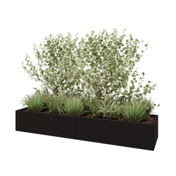 Jardinière XXL en acier - Rectangle - 200 x 50 x 30 cm - RAL9005 mat (noir) - Sanc plaque de fond