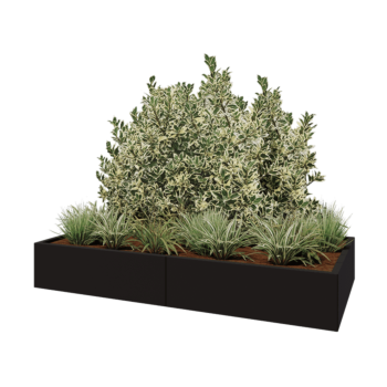 Jardinière XXL en acier - Rectangle - 200 x 100 x 30 cm - RAL9005 mat (noir) - Avec plaque de fond