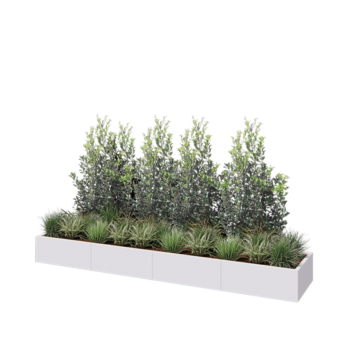 Jardinière XXL en acier - Rectangle - 320 x 60 x 30 cm - RAL9010 mat (blanc) - Avec plaque de fond