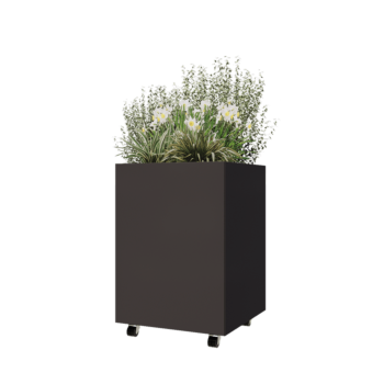 Jardinière en acier - Carré - 60 x 60 x 80 cm - RAL7016 mat (gris anthracite) - Avec plaque de fond - Avec roulettes