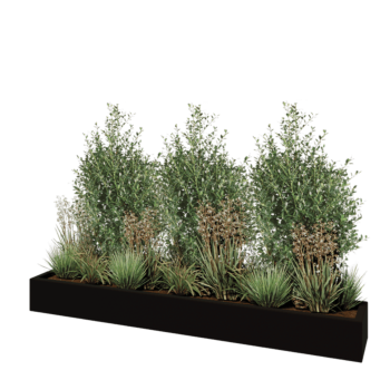 Jardinière en polyester - Rectangle - 200 x 30 x 20 cm - RAL9005 mat (noir) - Avec fond