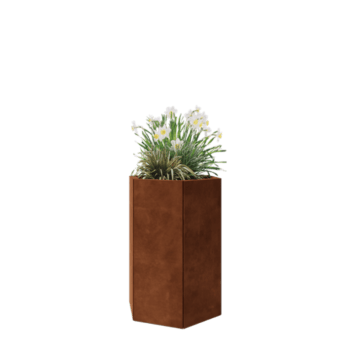 Jardinière en acier Corten - Hexagone - 59,3 x 52 x 80 cm - Avec plaque de fond