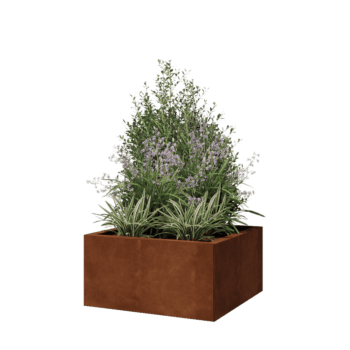 Jardinière en acier Corten - Carré - 60 x 60 x 30 cm - Sanc plaque de fond