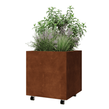 Jardinière en acier Corten - Carré - 60 x 60 x 60 cm - Avec plaque de fond - Avec roulettes
