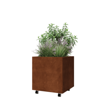Jardinière en acier Corten - Carré - 60 x 60 x 60 cm - Avec plaque de fond - Avec roulettes