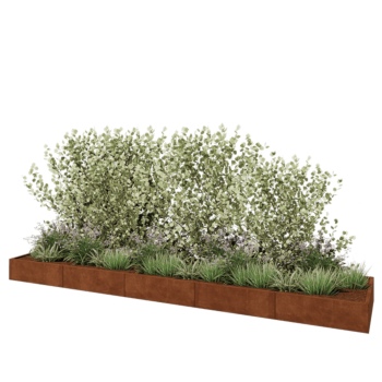 Jardinière XXL en acier Corten - Rectangle - 500 x 100 x 30 cm - Avec plaque de fond