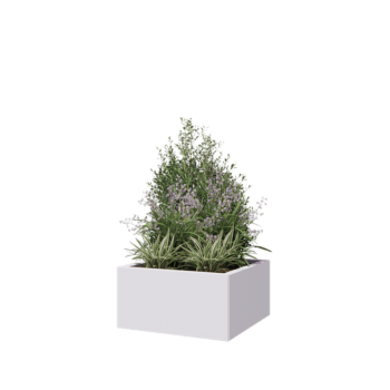 Jardinière en acier - Carré - 60 x 60 x 30 cm - RAL9010 mat (blanc) - Sanc plaque de fond