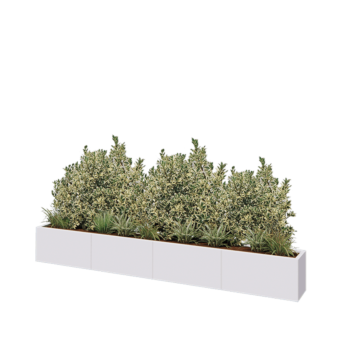 Jardinière XXL en acier - Rectangle - 320 x 30 x 40 cm - RAL9010 mat (blanc) - Avec plaque de fond