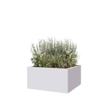 Jardinière en acier - Carré - 80 x 80 x 40 cm - RAL9010 mat (blanc) - Sanc plaque de fond