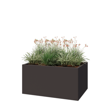 Jardinière en acier - Rectangle - 120 x 80 x 60 cm - RAL7016 mat (gris anthracite) - Sanc plaque de fond