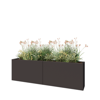 Jardinière XXL en acier - Rectangle - 200 x 30 x 60 cm - RAL7016 mat (gris anthracite) - Avec plaque de fond