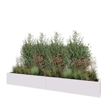 Jardinière XXL en acier - Rectangle - 240 x 30 x 30 cm - RAL9010 mat (blanc) - Sanc plaque de fond