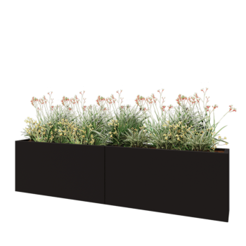 Jardinière XXL en acier - Rectangle - 240 x 30 x 60 cm - RAL9005 mat (noir) - Avec plaque de fond