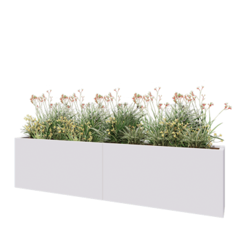 Jardinière XXL en acier - Rectangle - 240 x 30 x 60 cm - RAL9010 mat (blanc) - Sanc plaque de fond