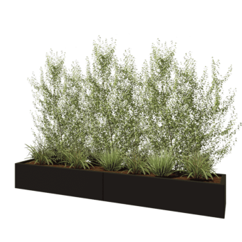 Jardinière XXL en acier - Rectangle - 240 x 40 x 30 cm - RAL9005 mat (noir) - Avec plaque de fond