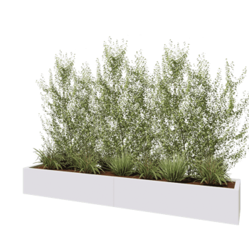 Jardinière XXL en acier - Rectangle - 240 x 40 x 30 cm - RAL9010 mat (blanc) - Avec plaque de fond