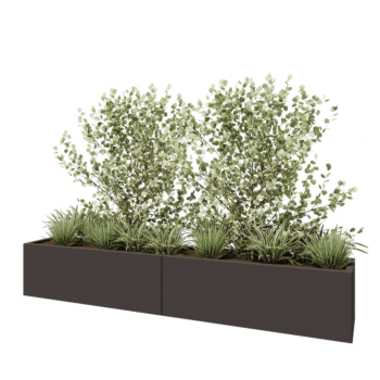 Jardinière XXL en acier - Rectangle - 240 x 40 x 40 cm - RAL7016 mat (gris anthracite) - Sanc plaque de fond