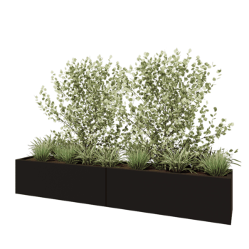 Jardinière XXL en acier - Rectangle - 240 x 40 x 40 cm - RAL9005 mat (noir) - Avec plaque de fond