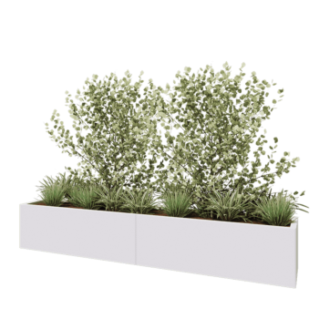 Jardinière XXL en acier - Rectangle - 240 x 40 x 40 cm - RAL9010 mat (blanc) - Sanc plaque de fond
