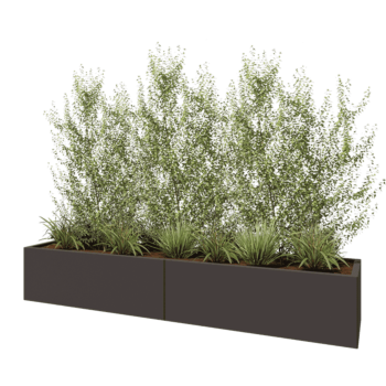 Jardinière XXL en acier - Rectangle - 240 x 50 x 40 cm - RAL7016 mat (gris anthracite) - Sanc plaque de fond