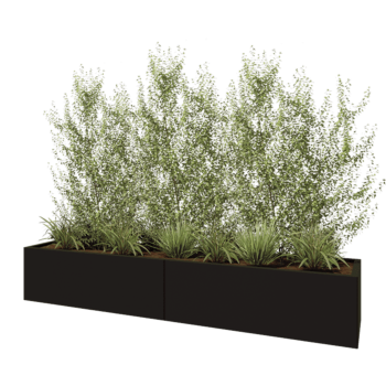 Jardinière XXL en acier - Rectangle - 240 x 50 x 40 cm - RAL9005 mat (noir) - Avec plaque de fond