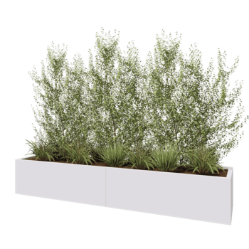 Jardinière XXL en acier - Rectangle - 240 x 50 x 40 cm - RAL9010 mat (blanc) - Sanc plaque de fond