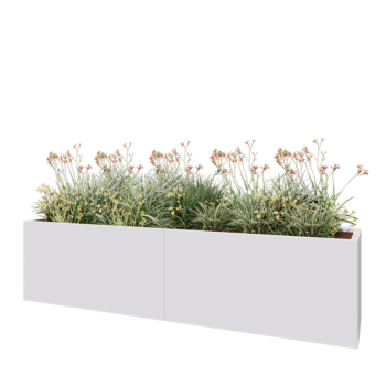 Jardinière XXL en acier - Rectangle - 240 x 50 x 60 cm - RAL9010 mat (blanc) - Avec plaque de fond