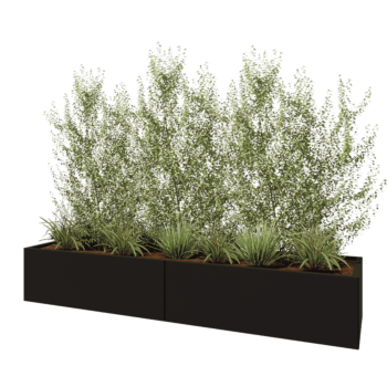 Jardinière XXL en acier - Rectangle - 240 x 60 x 40 cm - RAL9005 mat (noir) - Sanc plaque de fond