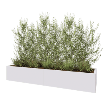 Jardinière XXL en acier - Rectangle - 240 x 60 x 40 cm - RAL9010 mat (blanc) - Avec plaque de fond