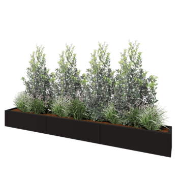 Jardinière XXL en acier - Rectangle - 300 x 30 x 30 cm - RAL9005 mat (noir) - Sanc plaque de fond