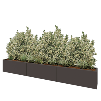 Jardinière XXL en acier - Rectangle - 300 x 30 x 40 cm - RAL9005 mat (noir) - Avec plaque de fond